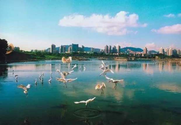 人民日?qǐng)?bào)：環(huán)境有價(jià)，損害必須擔(dān)責(zé)